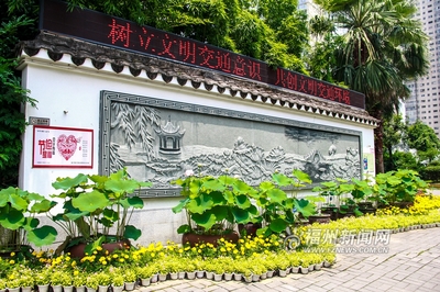 爱上福州城:茶亭公园初夏 那一抹荷之绿