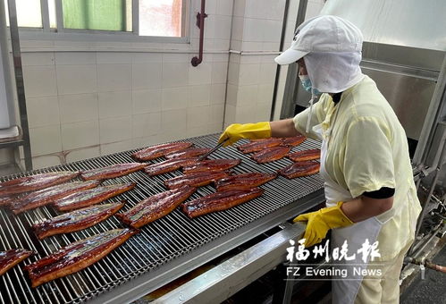 长乐全力打造“海上粮仓” 研发水产品预制菜，提升福州海蚌产业影响力